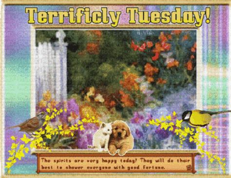 Terrific Tuesday Terrific Tuesday Discover Share GIFs