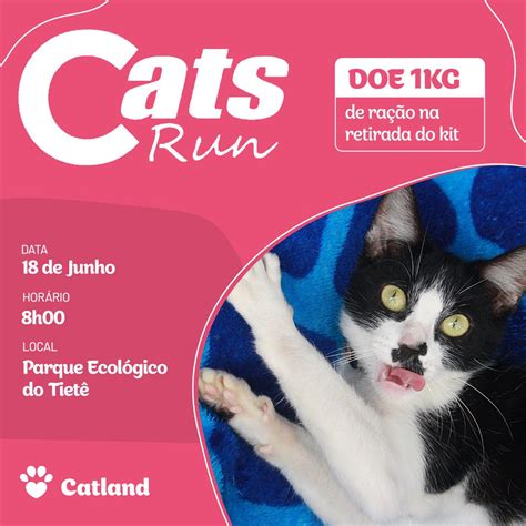 Todo Dia C Ezinhos Projetomila On Twitter Rt Catlandrescue Corra