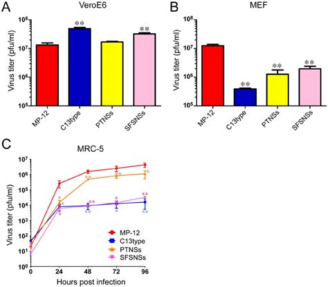 Replication Of Rmp12 Ptnss And Rmp12 Sfsnss In Cell Culture A Veroe6 Download Scientific