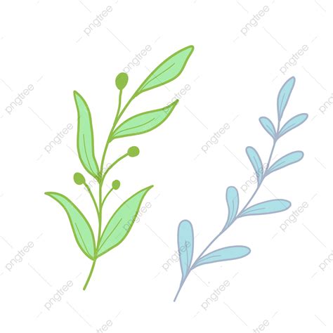 Hoja Coloreada Png Vector De Flor Flor Png Hojas De La Flor Png Y