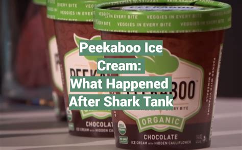 Peekaboo Ice Cream What Happened After Shark Tank Sharktankwiki