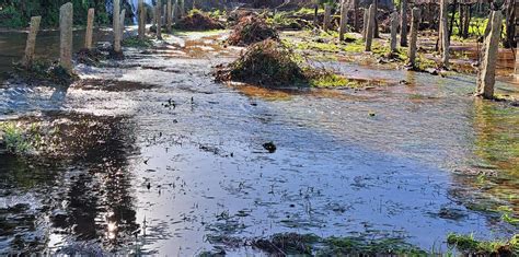 Câmara de Vila Verde pede à população para se afastar de rios e áreas