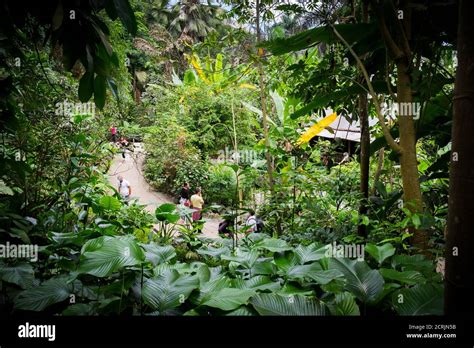 Tropical Rainforest Biome Hi Res Stock Photography And Images Alamy