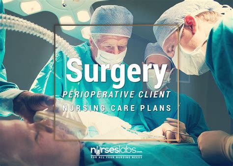 13 Surgery Perioperative Client Nursing Care Plans Nursing Care