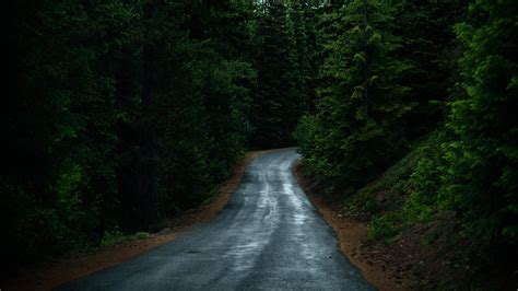 Road Through Forest Wallpaper - iPhone, Android & Desktop Backgrounds