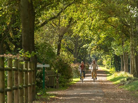 10 idées de balades en forêt Tourisme Bretagne