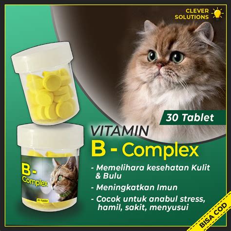 Jual Vitamin Kucing B COMPLEX TABLET Untuk Meningkatkan Imun Merawat