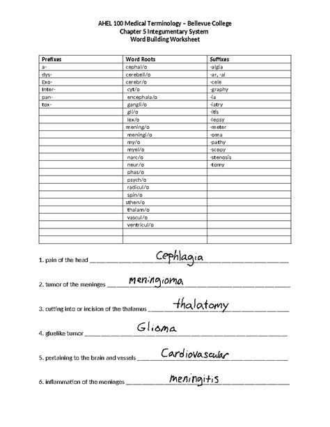 AHE 110 Medical Terminology Chapter 5 Nervous System - AHEL 100 Medical