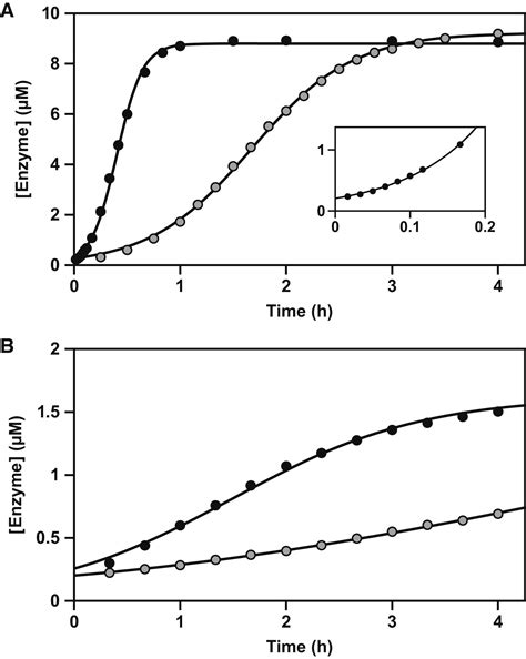 Highly Efficient Self Replicating Rna Enzymes Chemistry And Biology