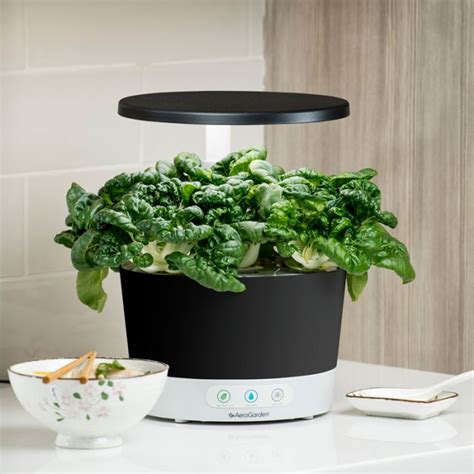 AeroGarden + Harvest 360