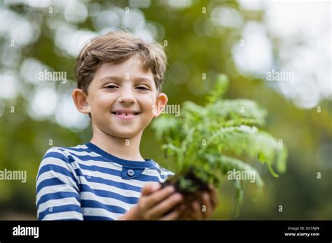 Boy Holding Sapling Plant Stock Photo Alamy