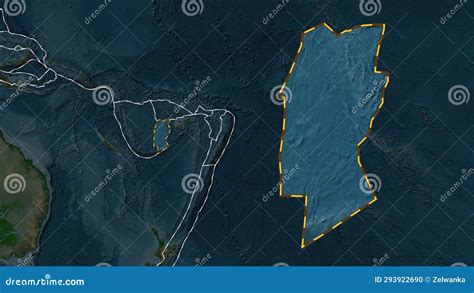 Conway Reef Plate Extracted Patterson Cylindrical Physical Stock