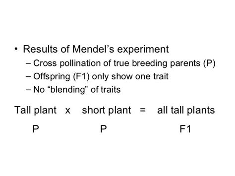 Gregor Mendel & Punnett Squares