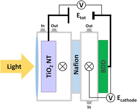 Schematic Diagram Of The Photoelectrochemical Cell The Symbol ⊗