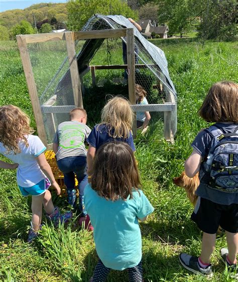 12 Farm Camps And Educational Programs In Pa Farm Camps In Pa