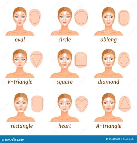 Contouring For Various Face Shapes Vector Illustration Stock Vector