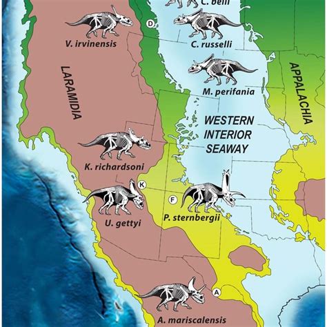 Skull Reconstruction Of Kosmoceratops Richardsoni N Gen Et N Sp In