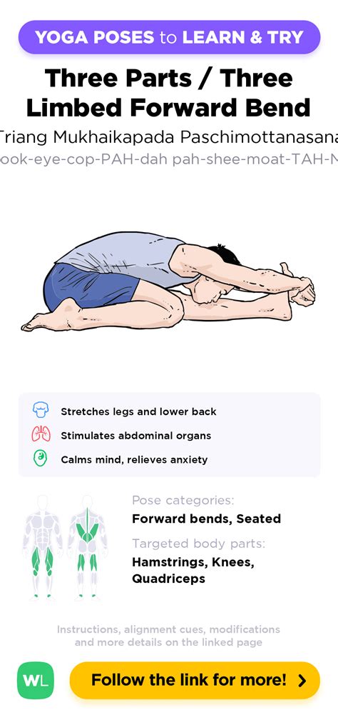 Three Parts Three Limbed Forward Bend Triang Mukhaikapada