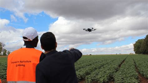 Sowit La Startup Qui D Veloppe L Agriculture Innovante En Afrique Et