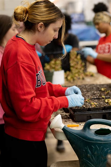 Wavertree botanic park and gardens liverpool needs more volunteers 10