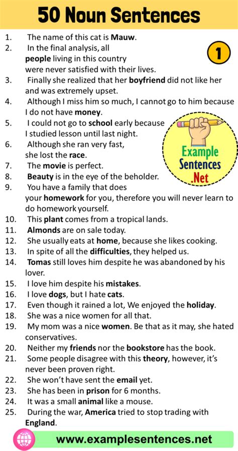 50 Examples of Noun Sentences, Noun Sentences Examples - Example Sentences