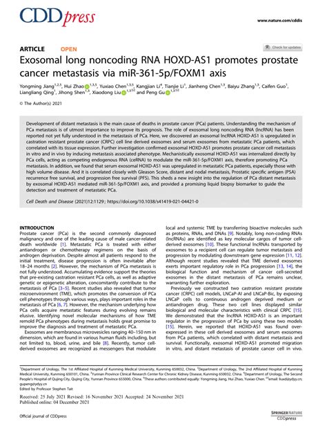 Pdf Exosomal Long Noncoding Rna Hoxd As1 Promotes Prostate Cancer