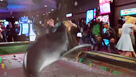 Sharknado The Th Awakens Bande Annonce De Vid O Dailymotion