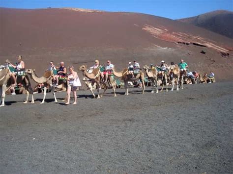 Lanzarote Nationalpark Timanfaya La Geria Getyourguide