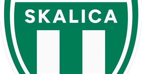 Um Grande Escudeiro Eslov Quia Novo Escudo Do Mfk Skalica