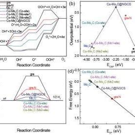 Free Energy DFT Investigation For OER And HER A Calculated Free