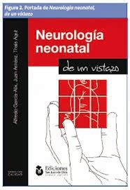 Pediatr A Basada En Pruebas Neurolog A Neonatal De Un Vistazo