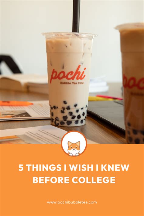 5 Things I Wish I Knew Before My First Year In College Pochi Bubble