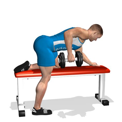 One Arm Bent Over Dumbbell Row Back To Workout