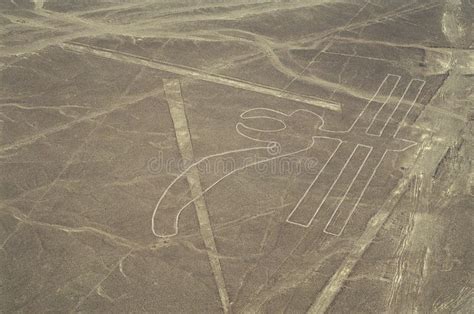 Nazca Lines Nazca Lines Peru Archeological Site Parrot Ruins Stock