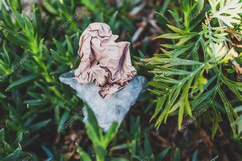 Bolsas De Pl Stico Y Basura Abandonadas En La Naturaleza Entre Hermosas