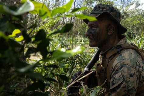 DVIDS Images MWSS 174 Field Exercise Image 13 Of 31