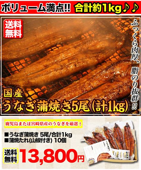 【楽天市場】うなぎ 蒲焼 本格 5尾合計1kg 送料無料 食品 鰻 ウナギ 蒲焼 国産 ひつまぶし ギフト プレゼント 贈答 有頭真空包装