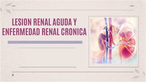 Lesión Renal Aguda Y Enfermedad Renal Crónica Espm Medicina Udocz