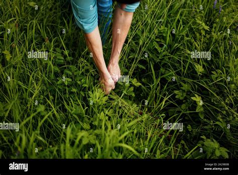 Environmental soft hi-res stock photography and images - Alamy 
