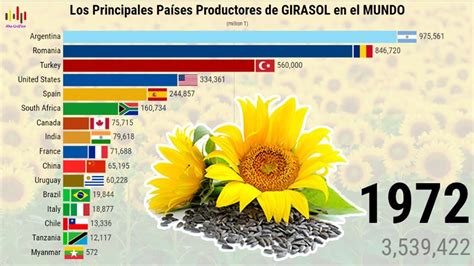 Los Principales Países Productores De Girasol En El Mundo 1960 2018