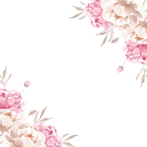 White And Pink Peonies Watercolor Flower Border Wedding Floral