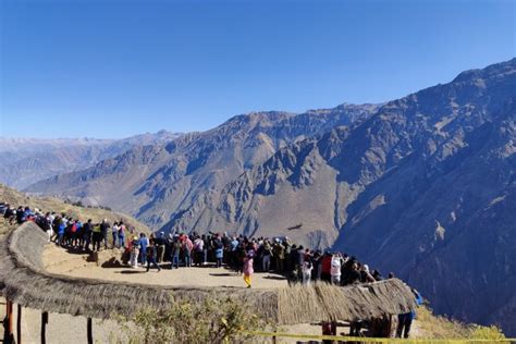 Que Faire Dans Le Canyon De Colca Voir Les Condors Et Bien Plus