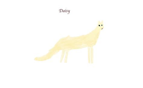 Daisy Warrior Cats