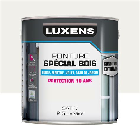 Peinture Ext Rieure Bois Mdf Osb Conditions Extr Mes Luxens Blanc