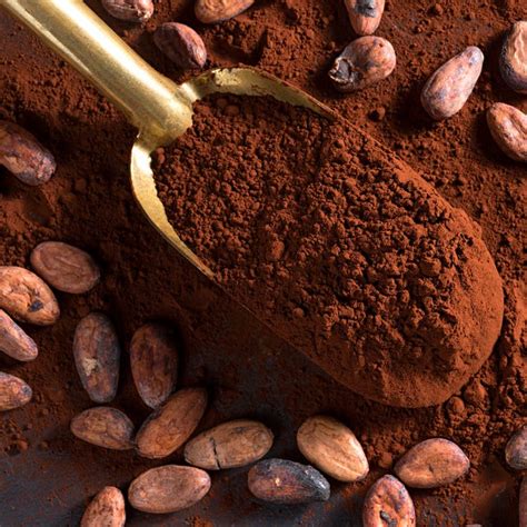 Cacao Vs Cocoa Whats The Difference And Which One Is Better