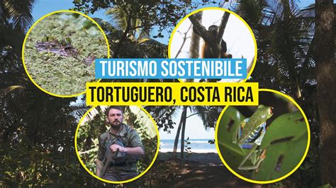 Come Fare Turismo Sostenibile Tortuguero Costa Rica Youtube