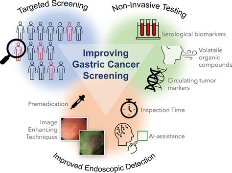 Graphical Summary Of Different Measures To Improve Gastric Cancer Screening Download