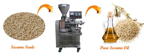 Small Automatic Sesame Oil Press Making Machine For Sale