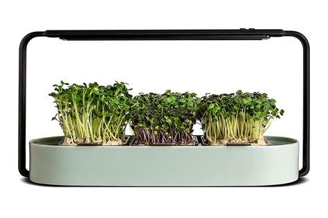 The 6 Best Indoor Gardens for 2024, Tested and Reviewed