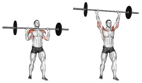 The Best Compound Exercises ~